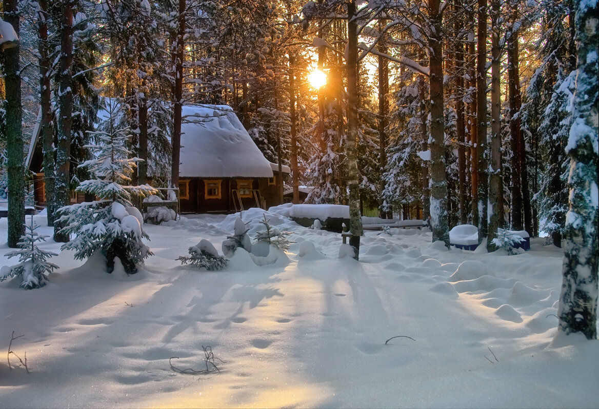 Карельские леса заснеженные