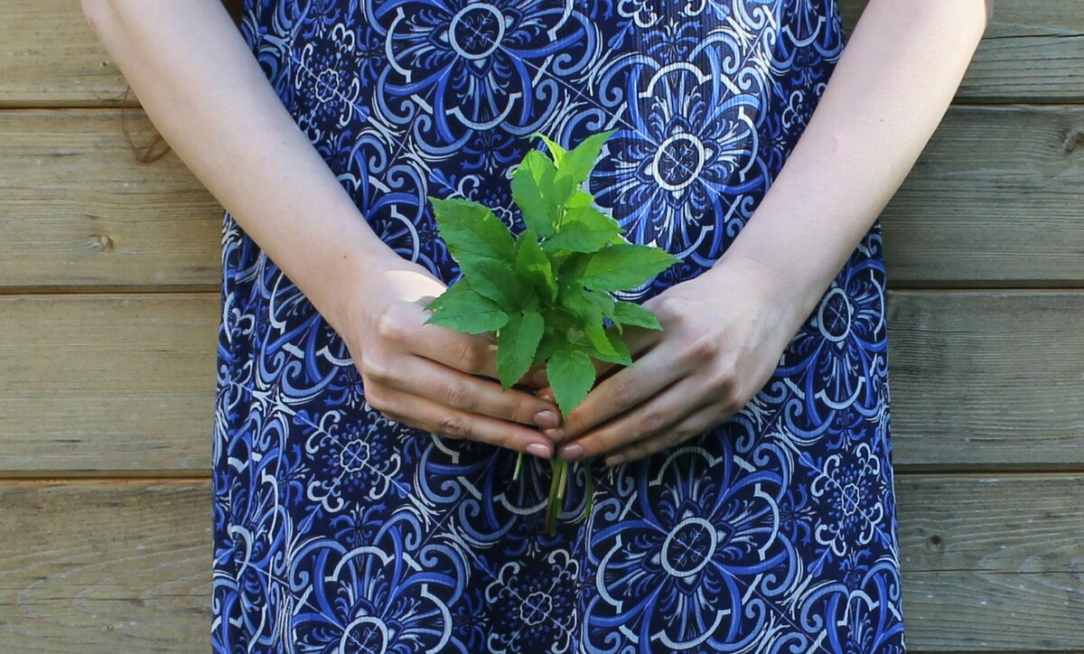 Фото автора | Летние будни неработающей женщины