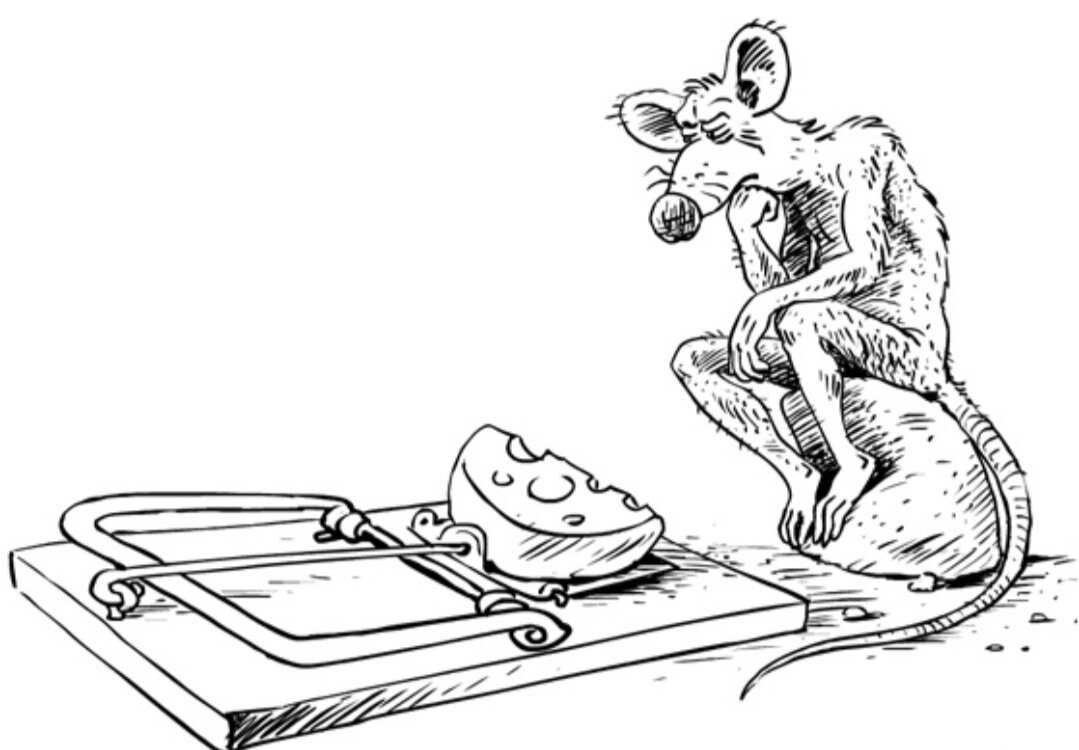 Яндекс, Картинки