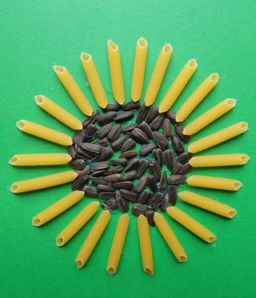 Рисунок сделанный с помощью макарон и семечек подсолнуха