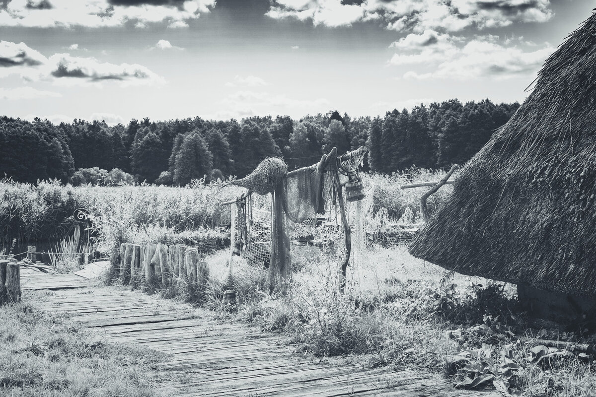 Фото: Pixabay