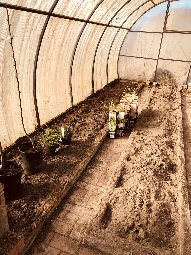 Это одна из наших теплиц после расчистки. Фото автора.