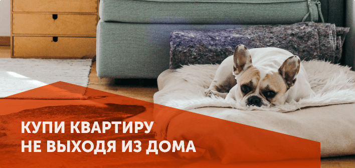 источник фото: fsk.ru