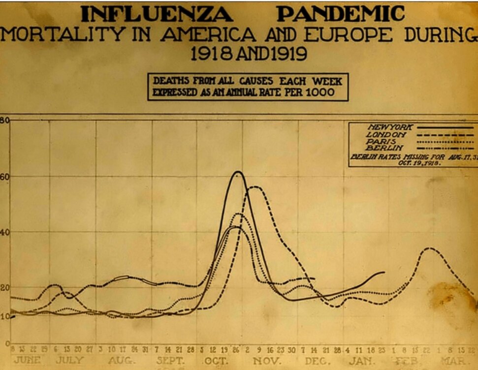 График, который показывает, что в октябре пришла вторая волна Испанки. 