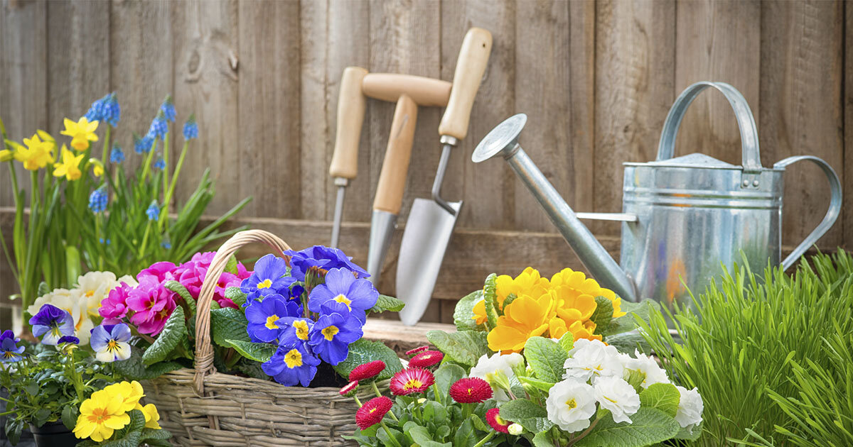 Источник Яндекс. Картинки