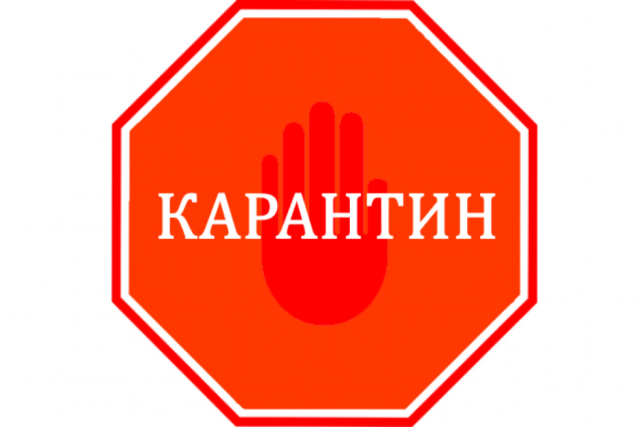 Яндекс