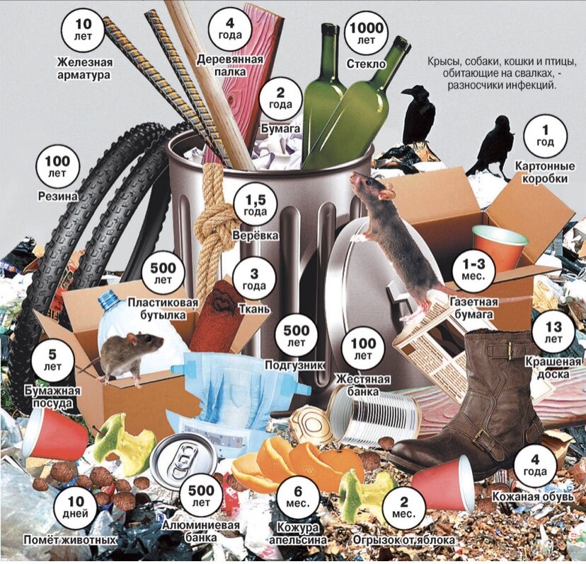 Источник. Электронная экологическая библиотека. http://ecology.aonb.ru