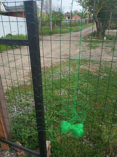 Фото: РОмана Образцова. 