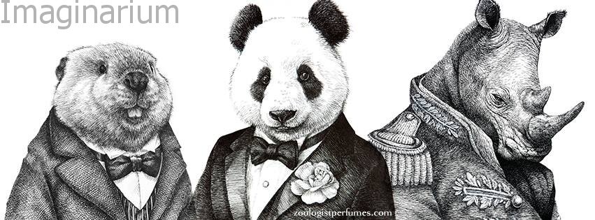 Beaver (Бобер)              Panda(Панда)        Rhinoceros (Носорог)