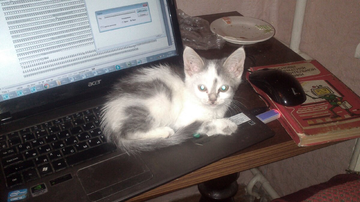 Таким мы его нашли. Октябрь 2016. Можно сделать фото было/стало