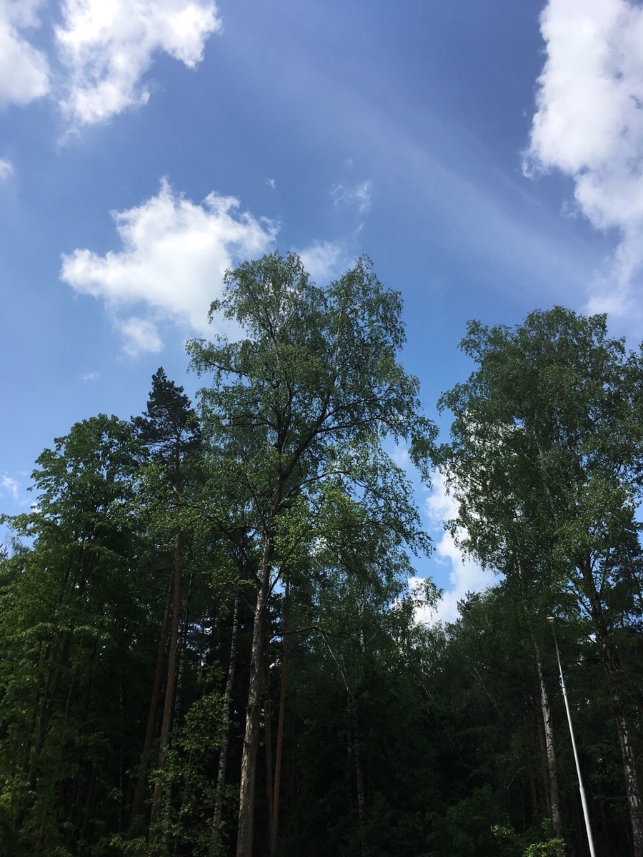 Смотреть на это из окна два месяца - пытка же.
