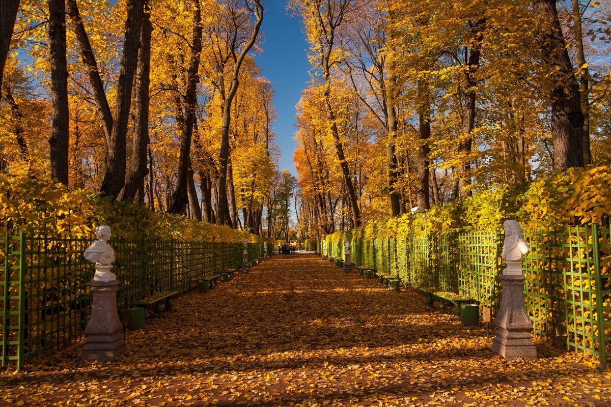 Фото взято с сервиса Shutterstock