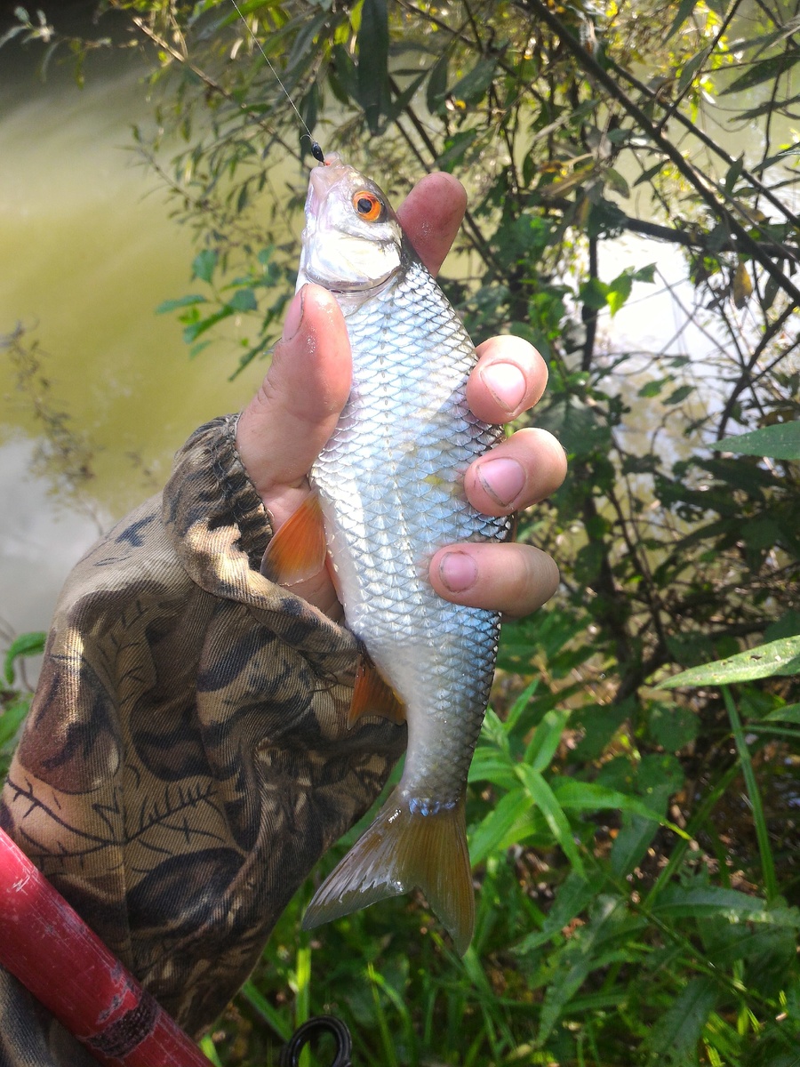 На летнюю мормышку