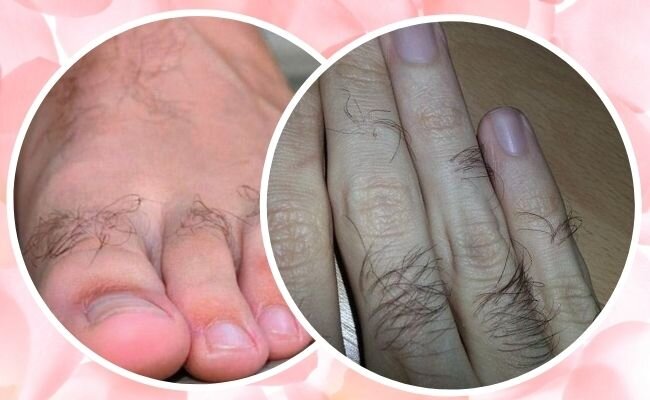 Tha1ndonlysly, mortiphago / Reddit.com, DAPA Images / Canva.com