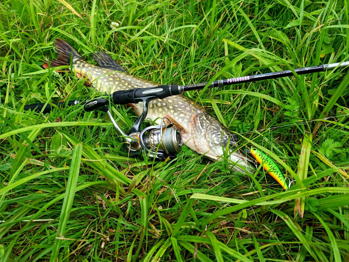 DUO Tide Minnow 90F/ все фотографии автора