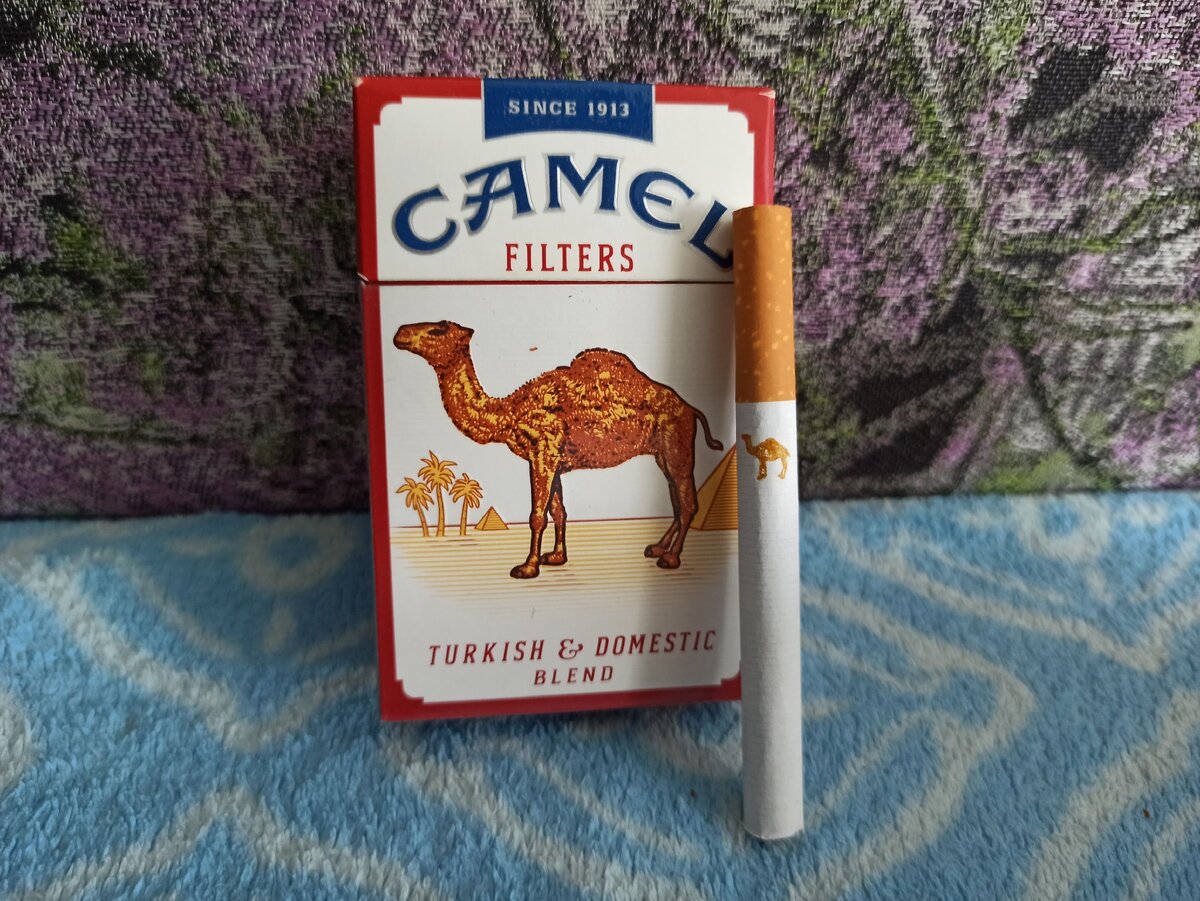 Виды сигарет camel. Сигареты кэмел компакт американские. Camel 1913 пачка сигарет. Кэмел сигареты кэмел компакт. Сигареты Camel компакт пачка.