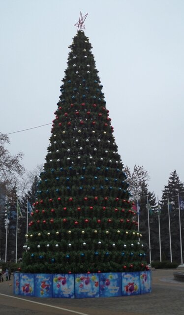 Новогодняя елка в Краснодаре. 