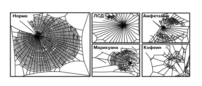 Из книги Мэттью Уолкера "Зачем мы спим"