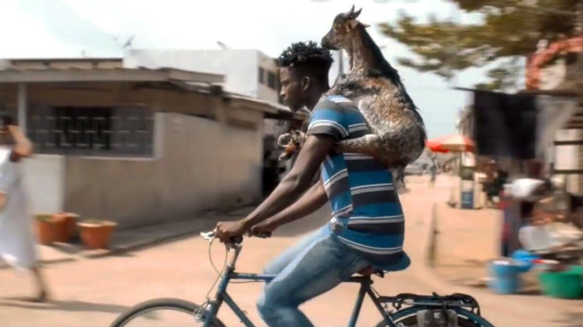 Источник Яндекс.Картинки