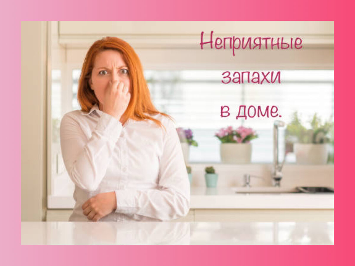 Источник фото: Pixabay.