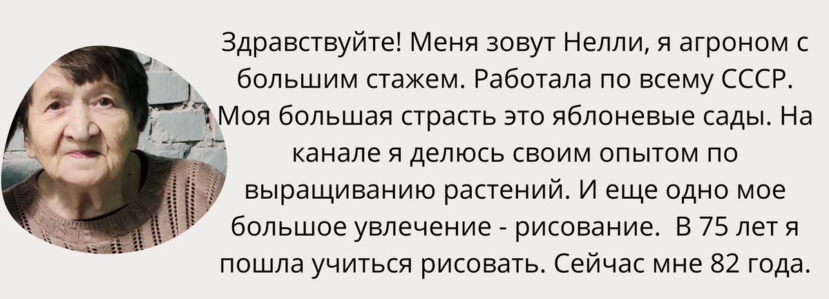 Поросль вишни и сливы. Главная ошибка садоводов в борьбе с ней | УЧЕНЫЙ .