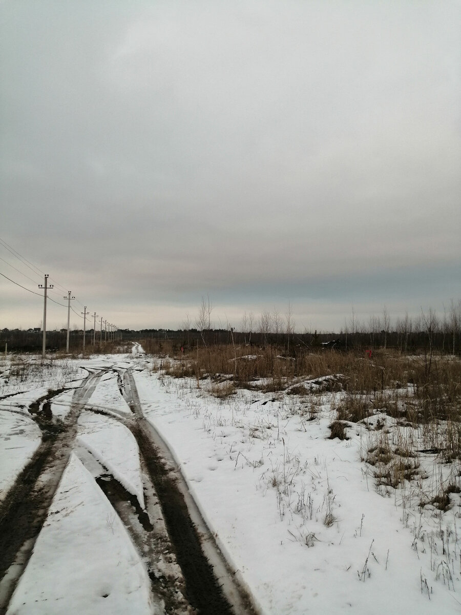 Наша улица. 