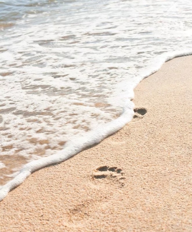 Взято из открытых источников