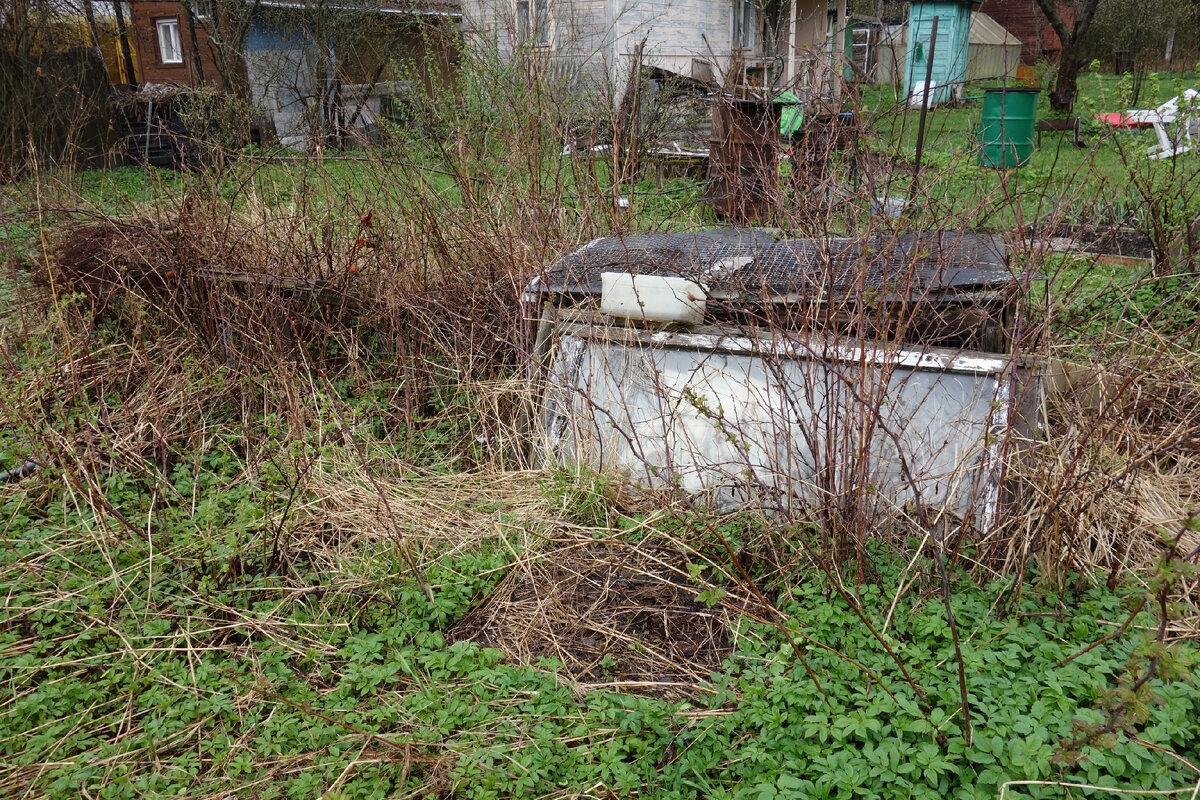 Так это выглядело весной