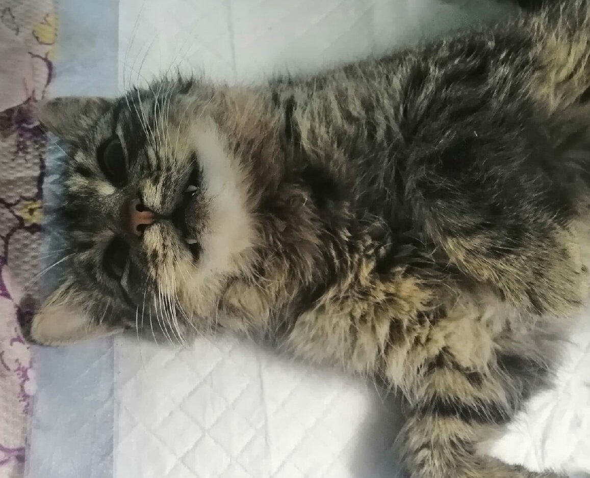 Наркоз. Проснется - все уже будет позади