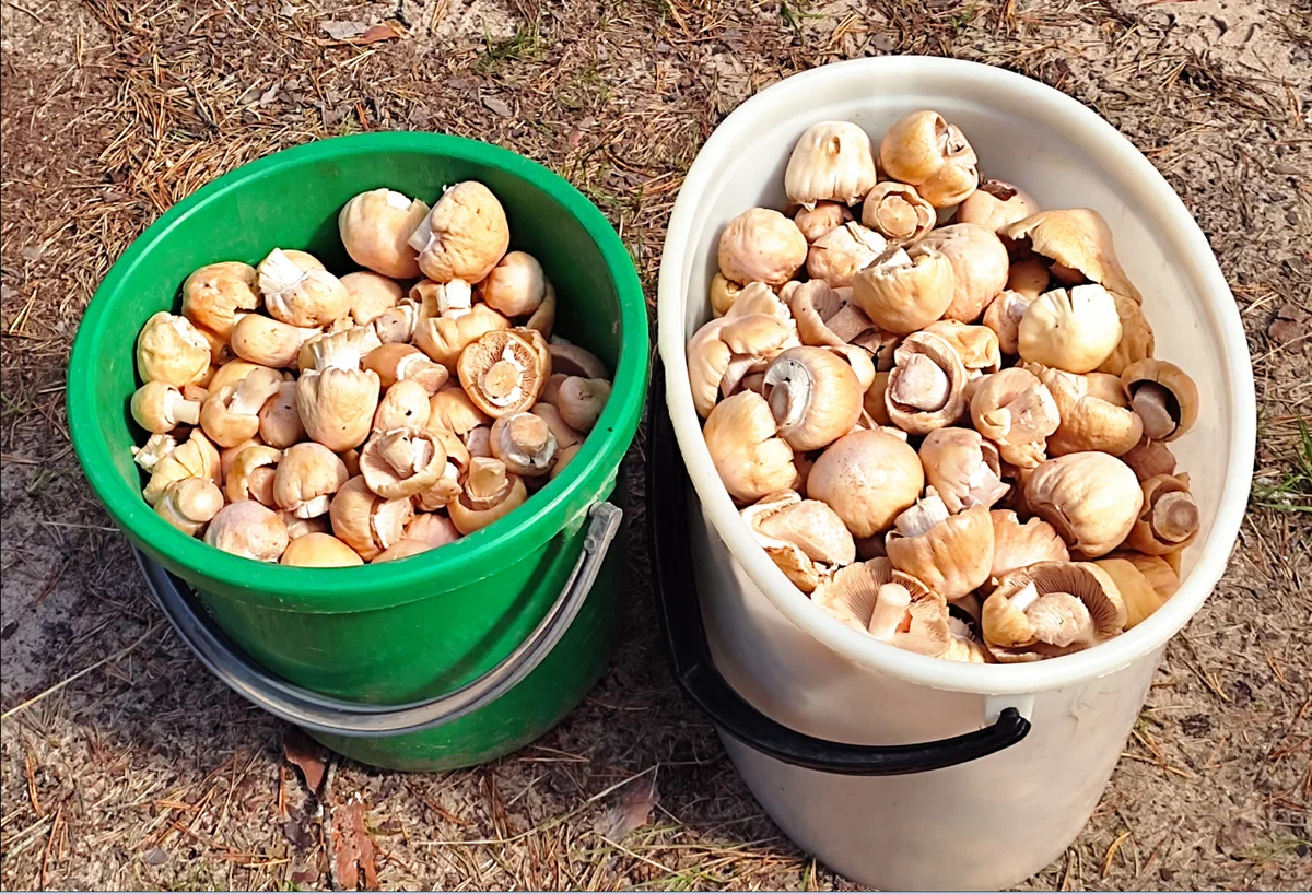 Автор фото Юрий Кутырёв