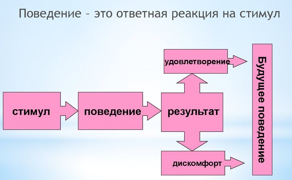 Схема формирования реакции на стимул 