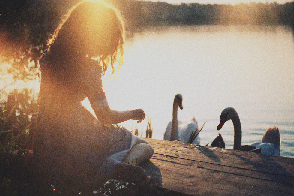 Фото из открытых источников 