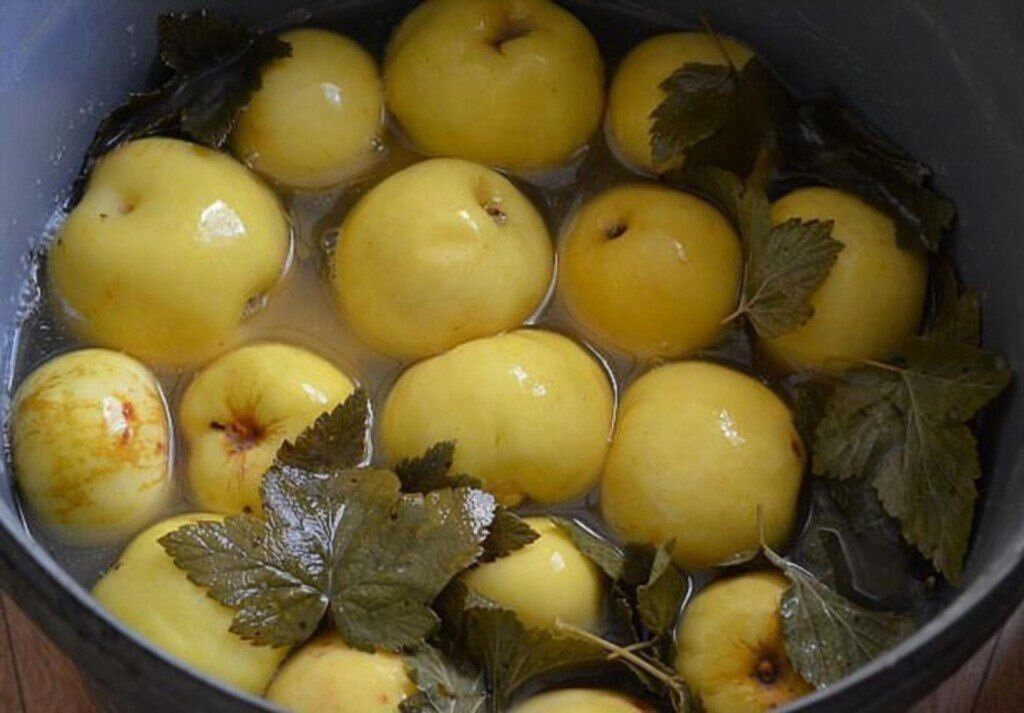 Моченые яблоки.