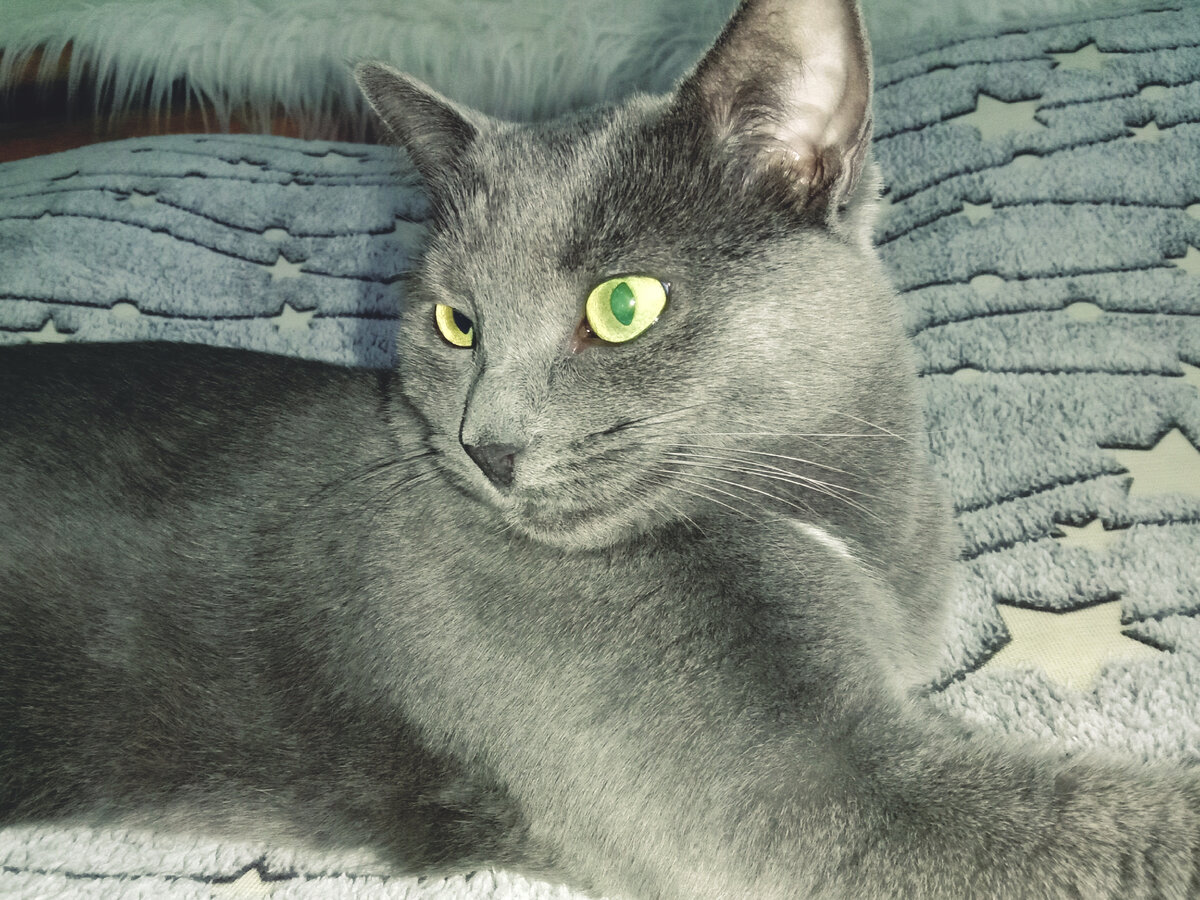 На страже мира и согласия