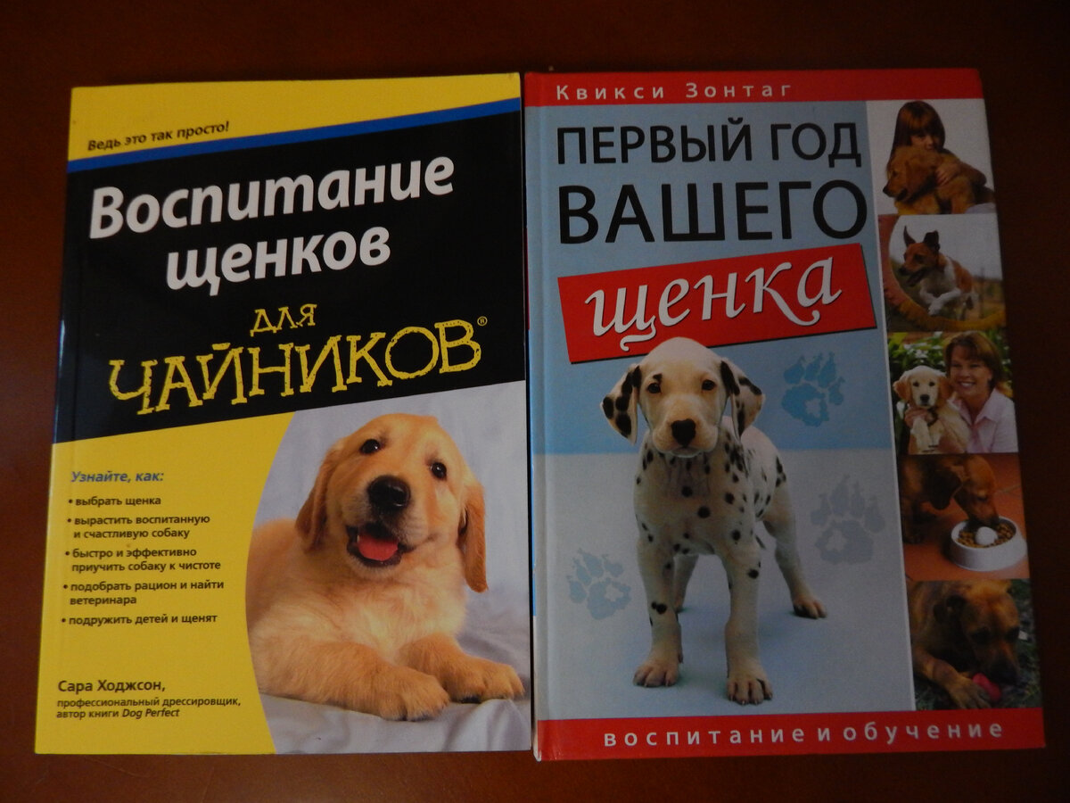 Как отучить щенка тянуть за одежду (делюсь опытом) | Трихвостень | Дзен