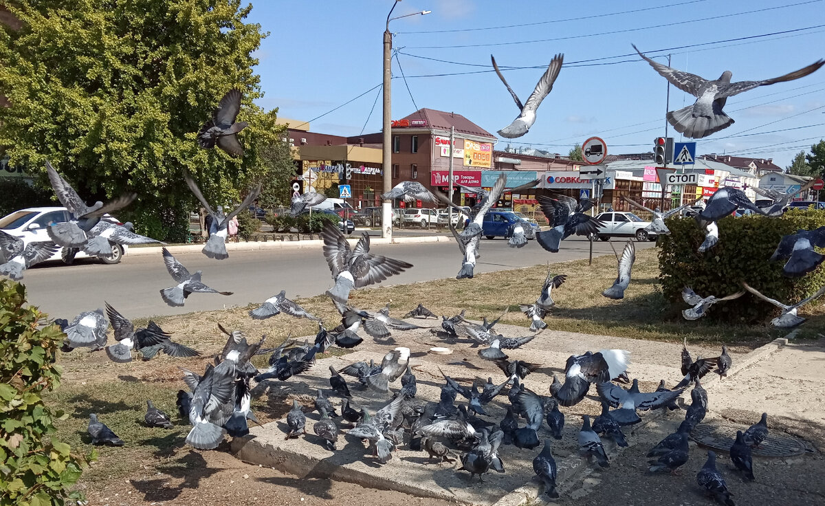 Фото автора