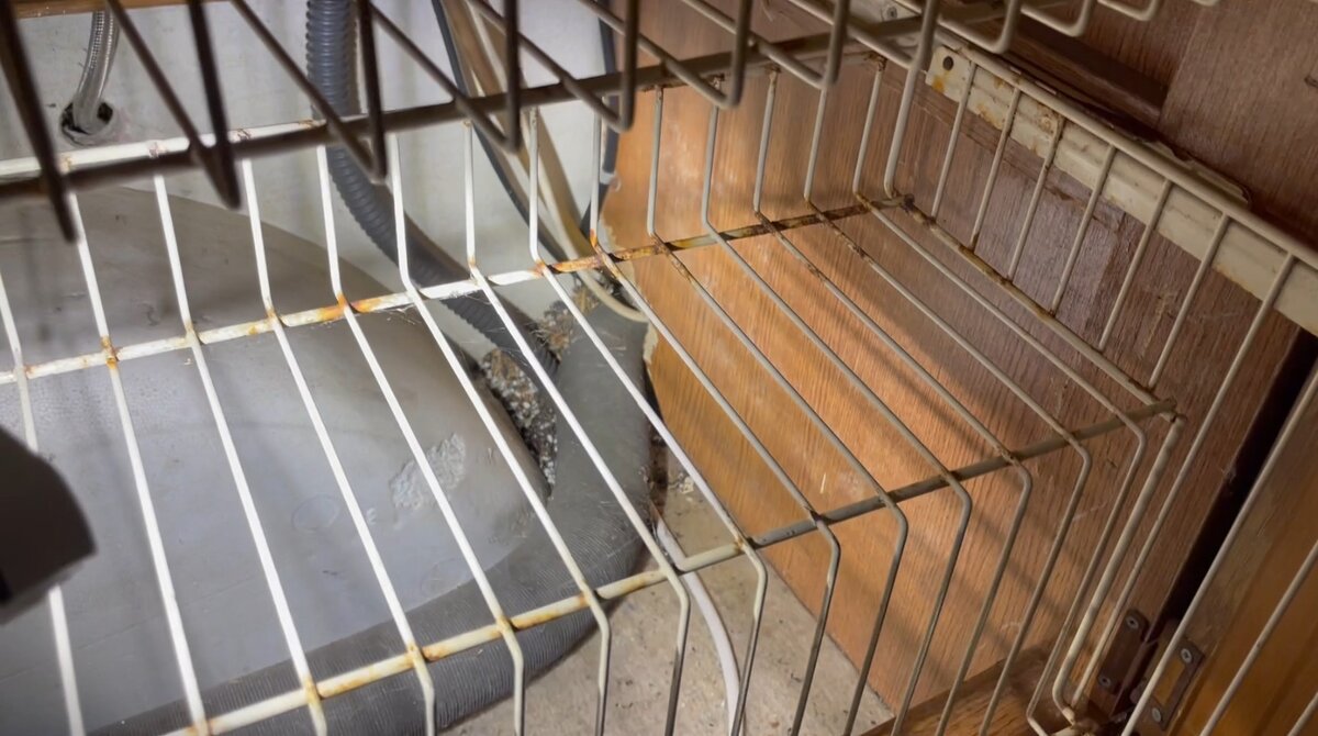 Гора мышиного помета прямо в шкафу под раковиной.