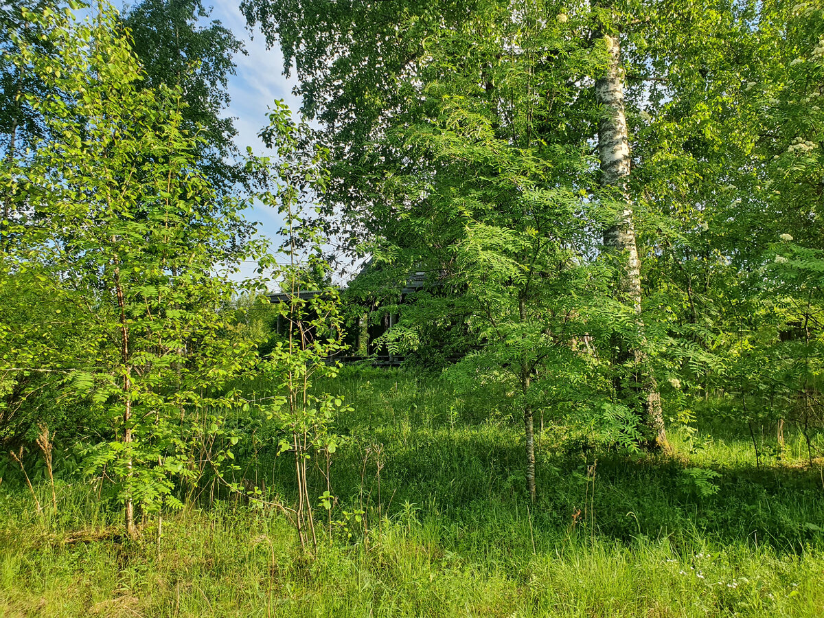 Ты дом видишь? И я не вижу... А он есть.