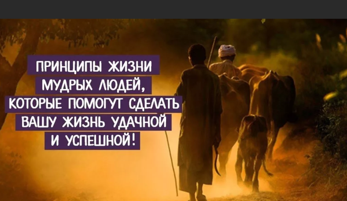 Принципы жизни. Цитаты про принципы жизни. Принципы по жизни. Принципы мудрой жизни