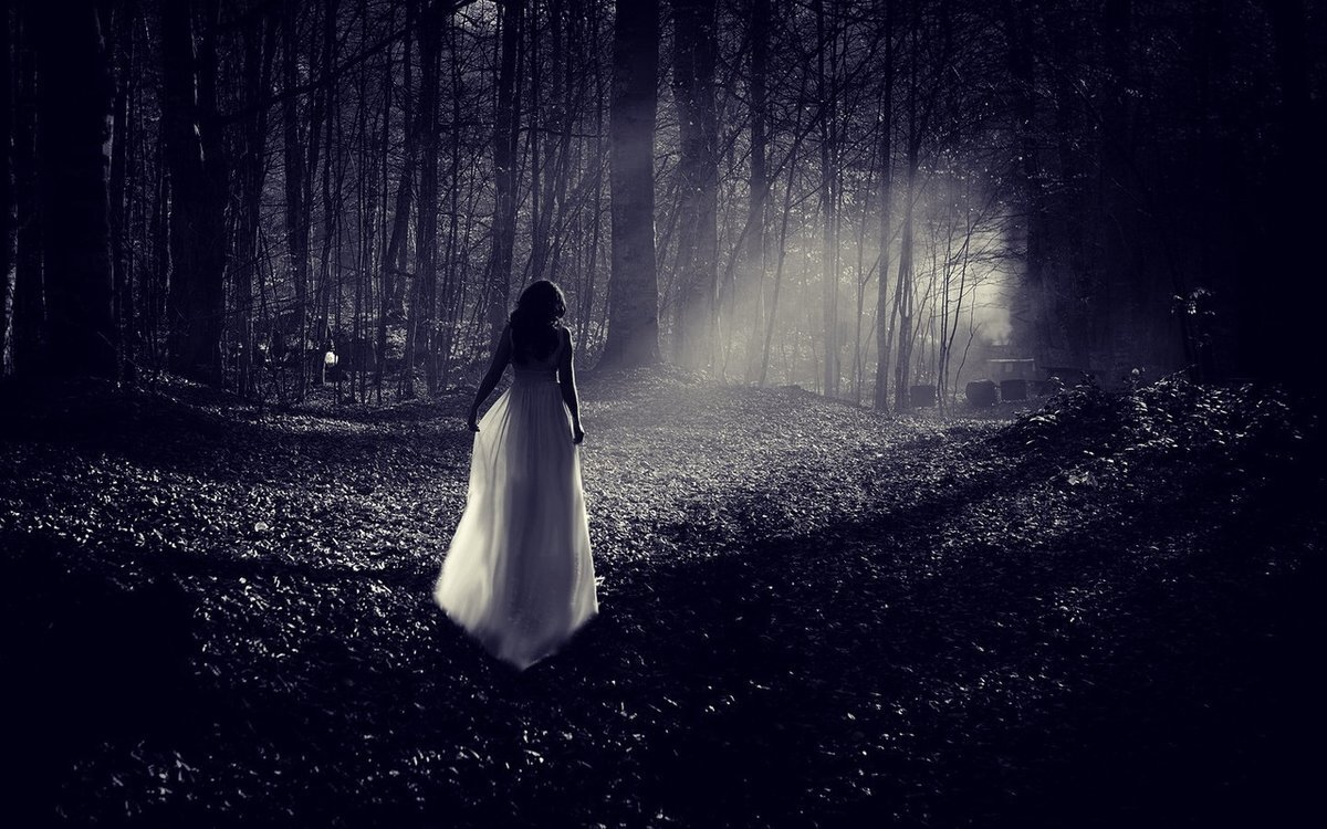 Яндекс.Картинки