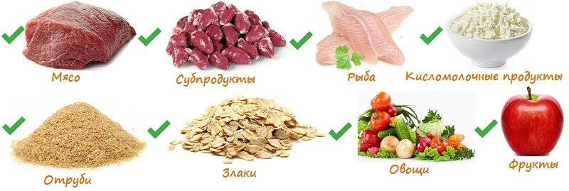 Продукты которыми можно кормить чихуахуа. Источник фото - сайт: https://clck.ru/YxdNF