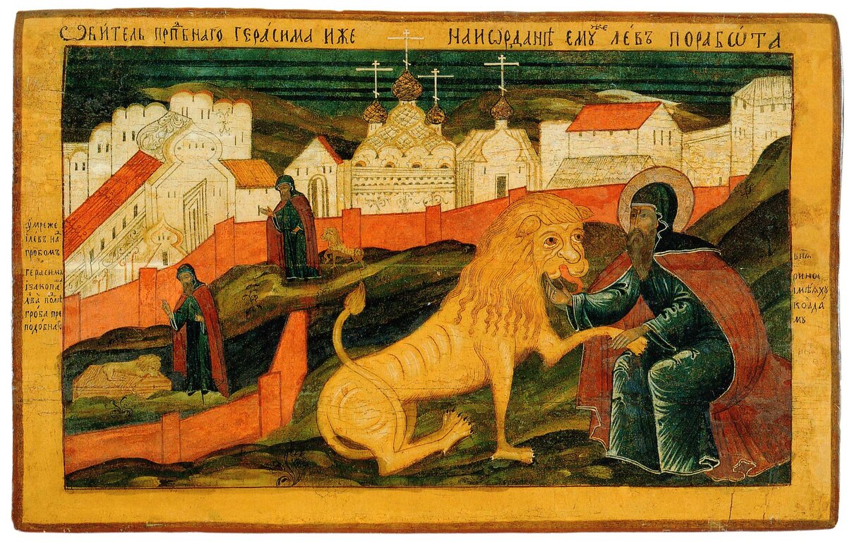 Драка льва и львицы. Львы дерутся. Необычная дружба животных и людей. Лев верный человеку. Цитаты со львом картинки.