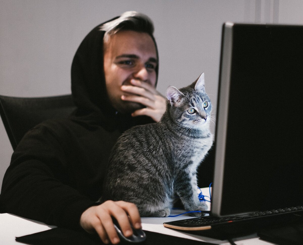 Предлагаю вам потренироваться в решении 31-го задания из второй части КИМ