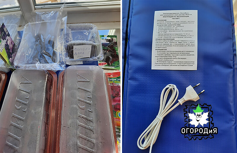 Петунии в торфяных таблетках на коврике слева, а сам электроподогреватель, каким он был — справа