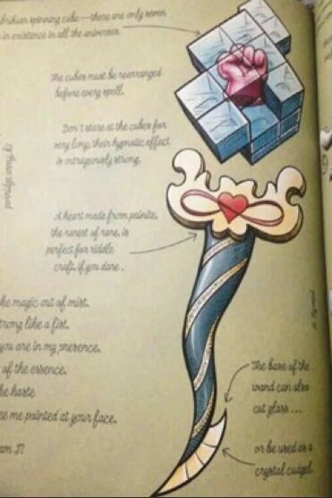 Палочка Рины