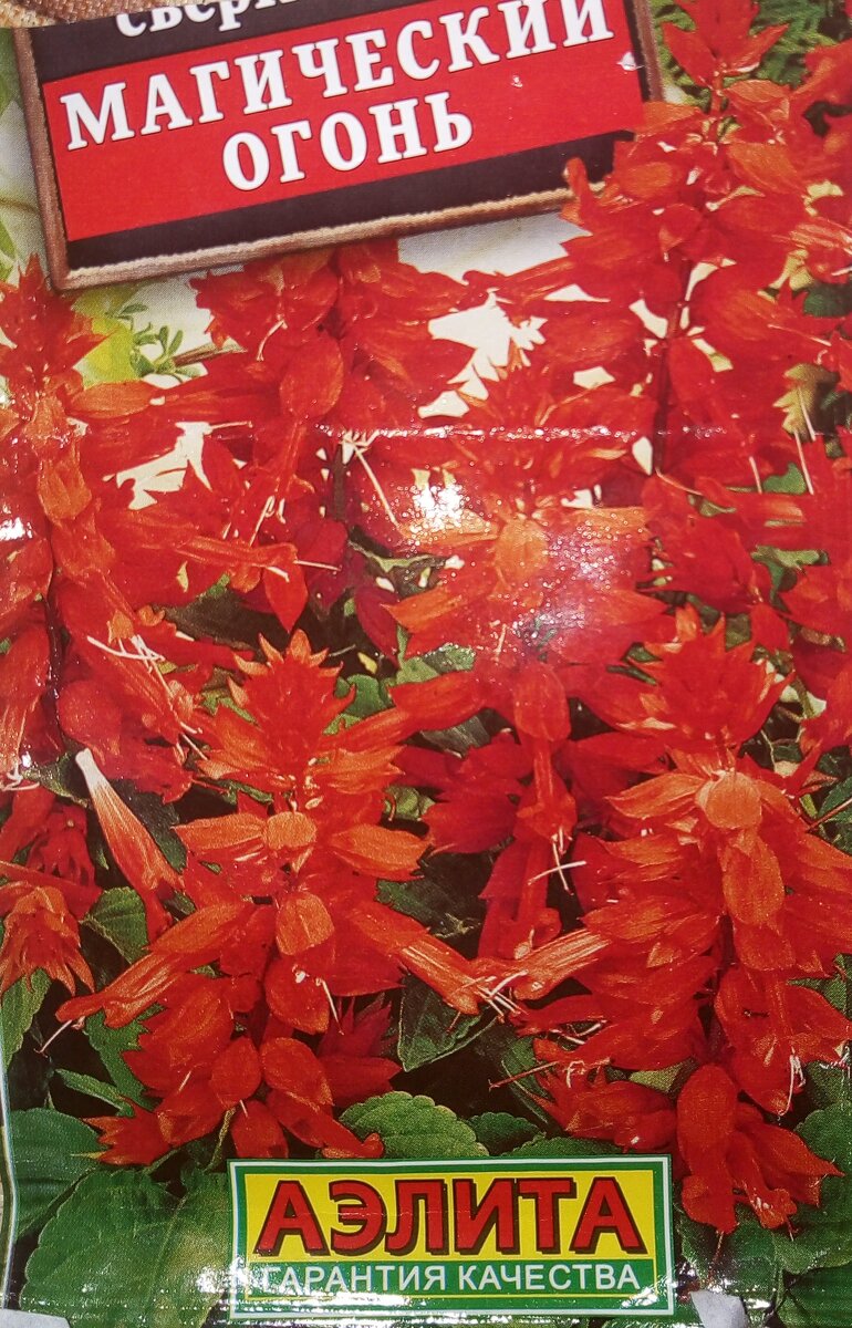 Яркая картинка