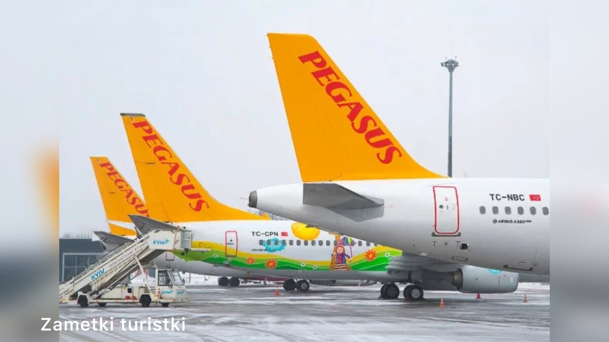 Эйрлайнс pegasus. Pegasus Airlines авиакомпании Турции. Авиакомпания Пегасус Эйрлайнс. Лоукостер Pegasus Airlines турецкий. Пегасус АИРЛАЙН.