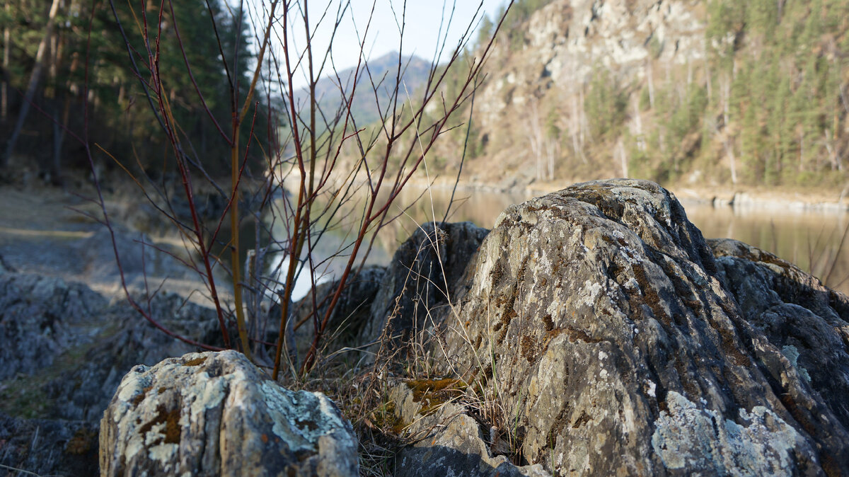 Горный Алтай, река Катунь. Фото автора.