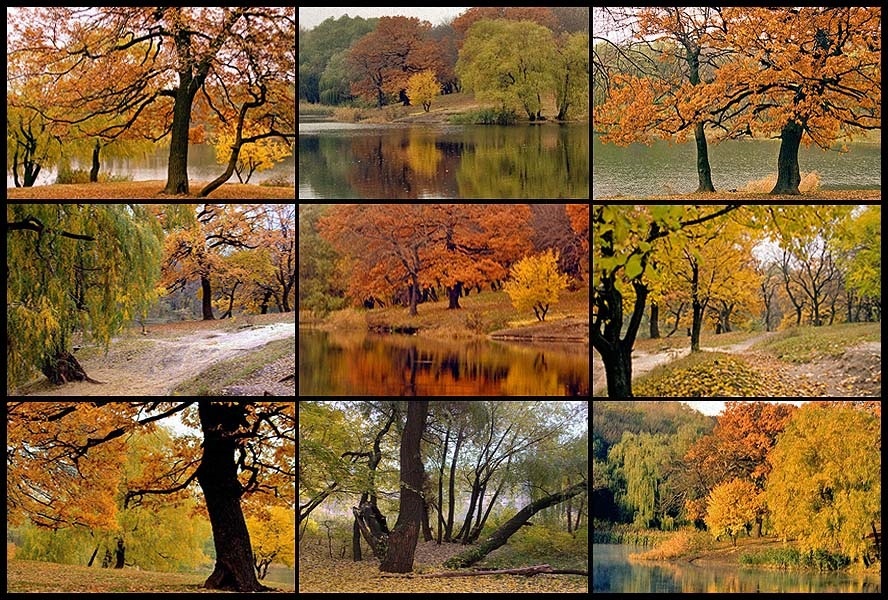 Башкирия моя родная, коллаж