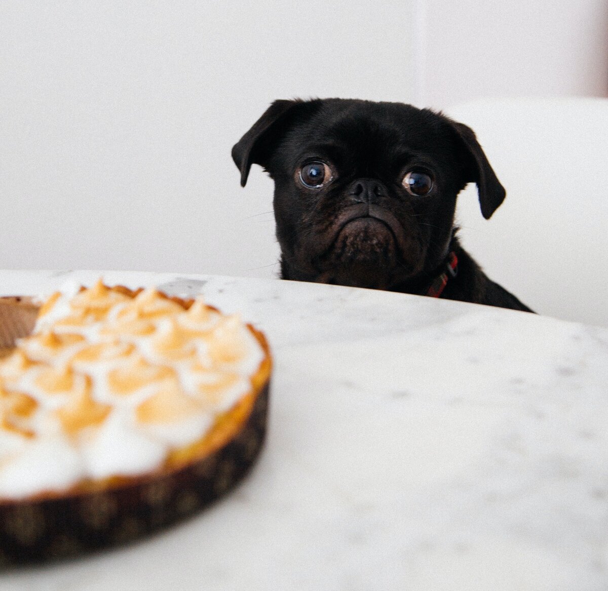 Делаю вид, что совсем не хочу тортик и отдыхать